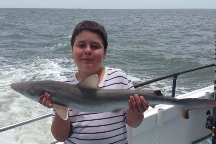 Boy holding shark