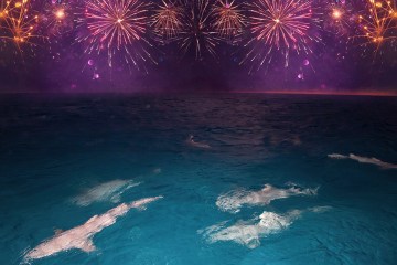 fireworks in the water
