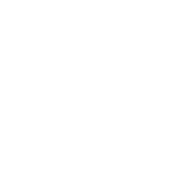 TripAdvisor-Travelers-Choice-logo-white